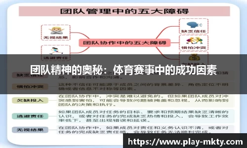 mk体育官网