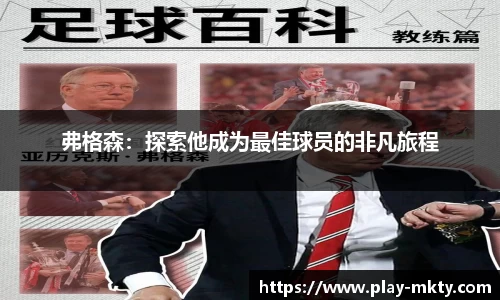 mk体育官网